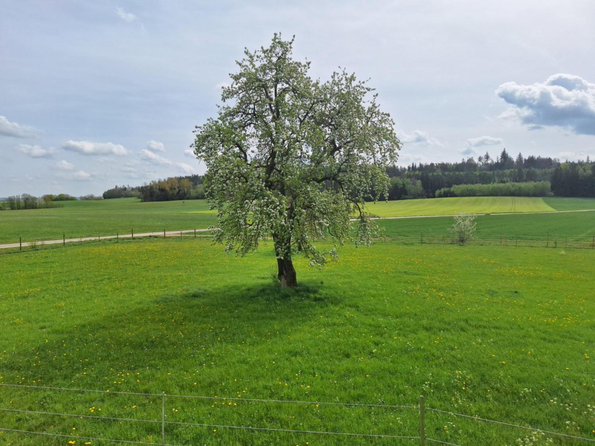 Gaestehaus Plath Wettringen  Luaran gambar