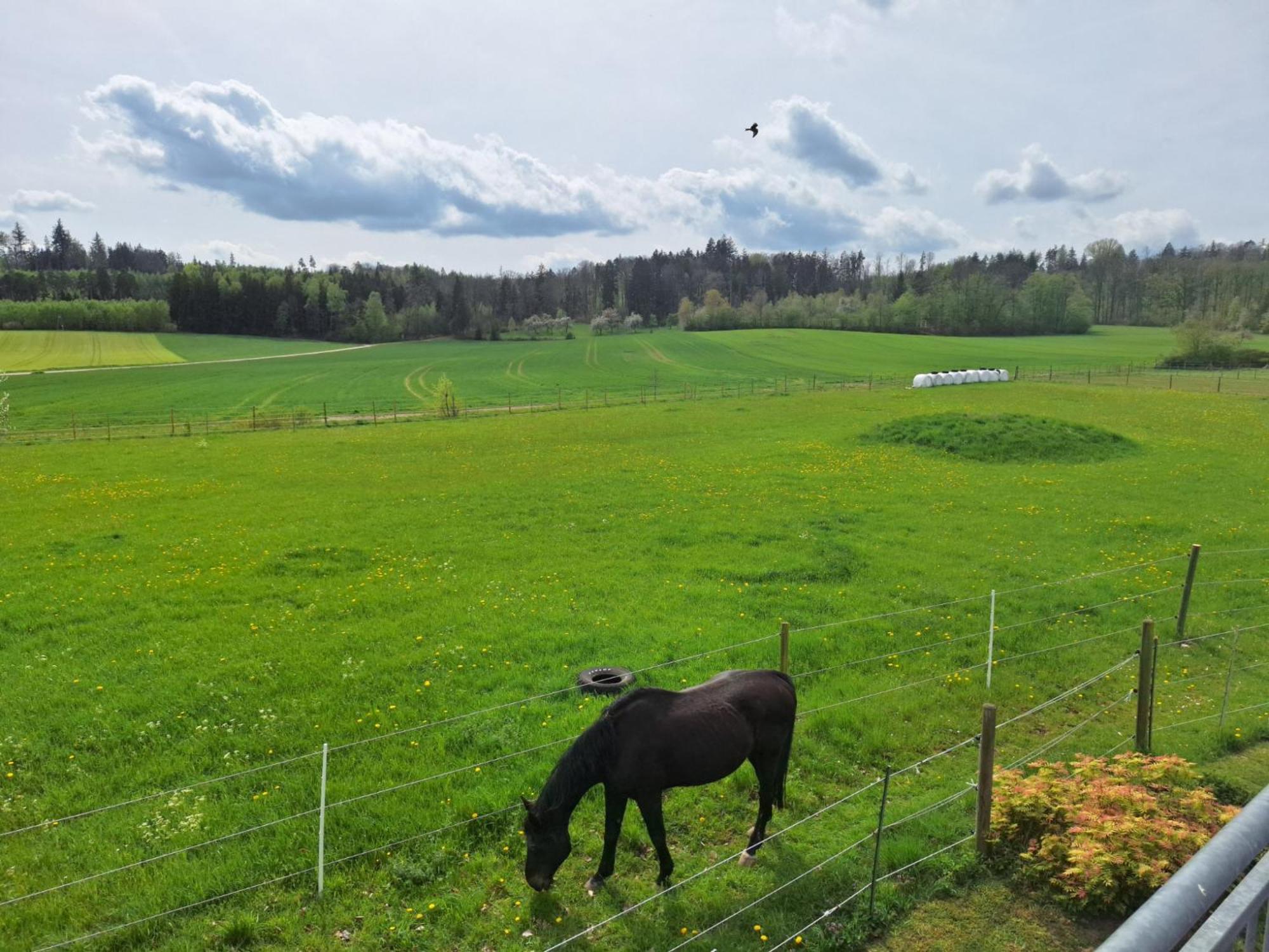 Gaestehaus Plath Wettringen  Luaran gambar