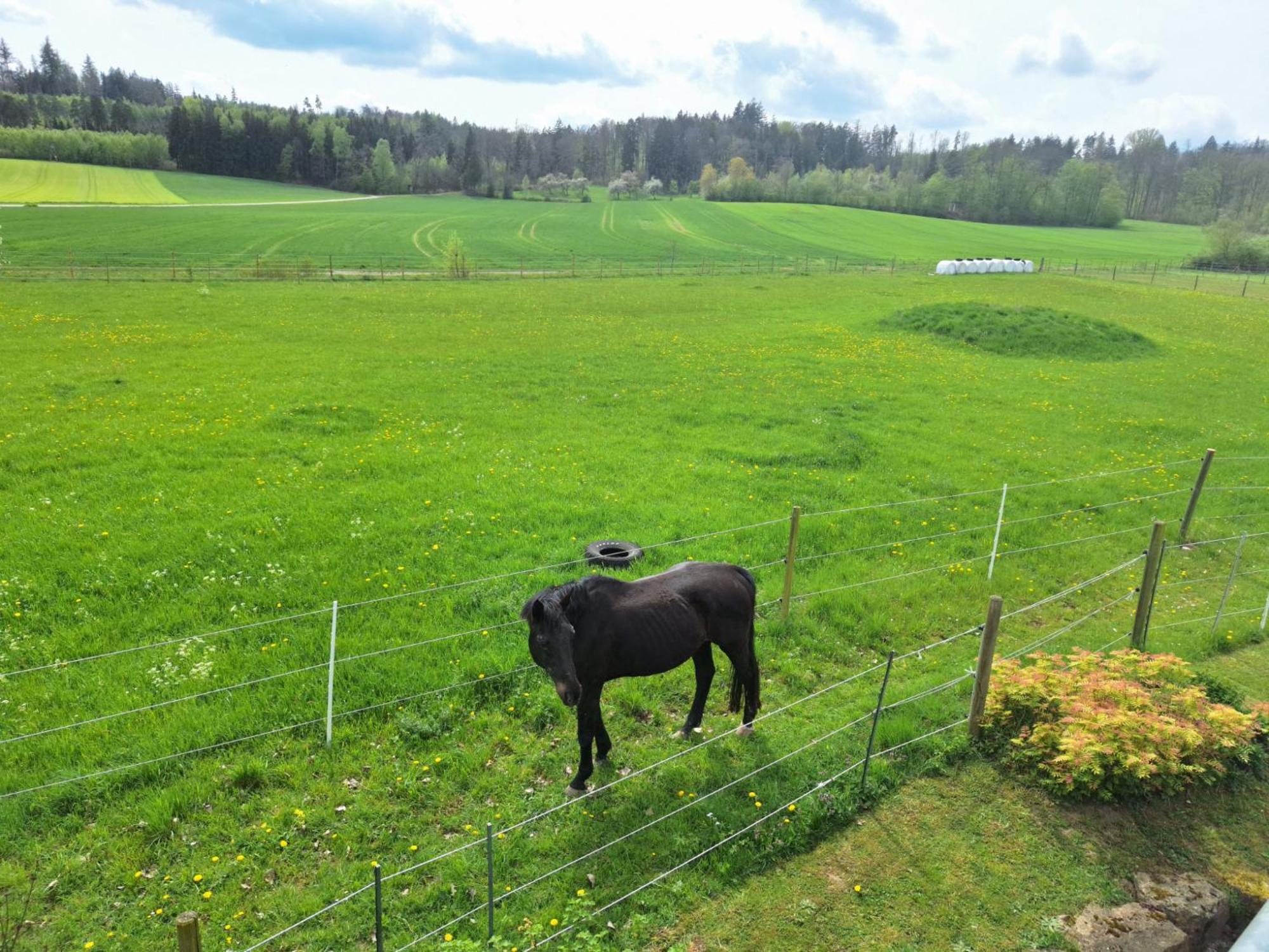 Gaestehaus Plath Wettringen  Luaran gambar